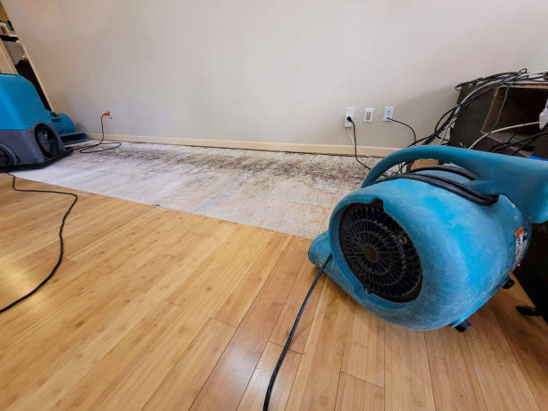Professional Flood Damage Cleanup technician working in Ledbetter, KY